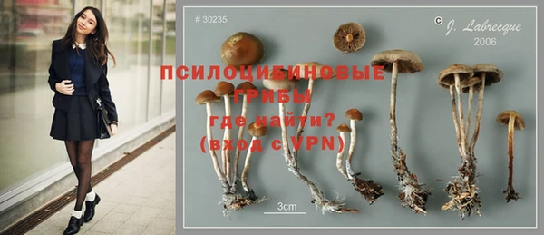 хмурый Алзамай